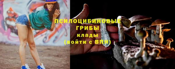гидропоника Бугульма