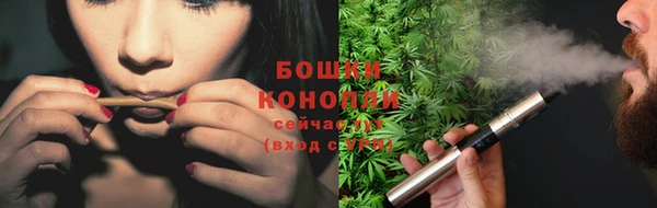гидропоника Бугульма