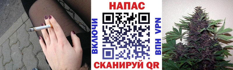 Конопля MAZAR  Горнозаводск 